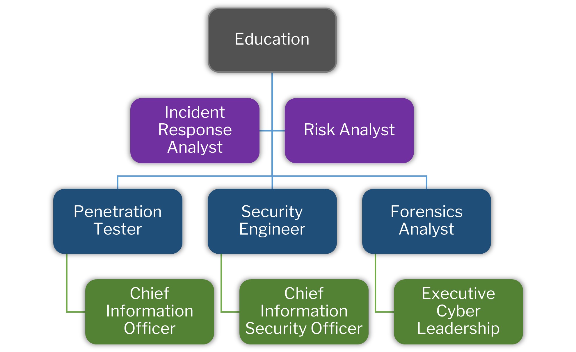 Cybersecurity career path