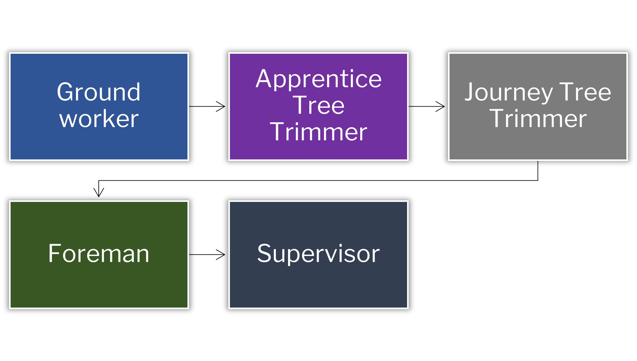 tree trimmer career path